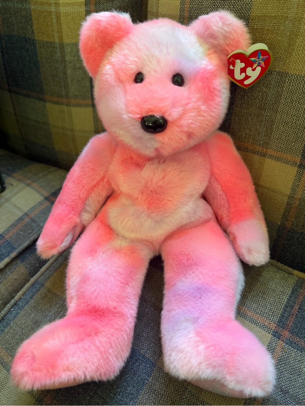 TY Beanie Buddy Bear Collection (6 bears) - Perfect condition with original tags